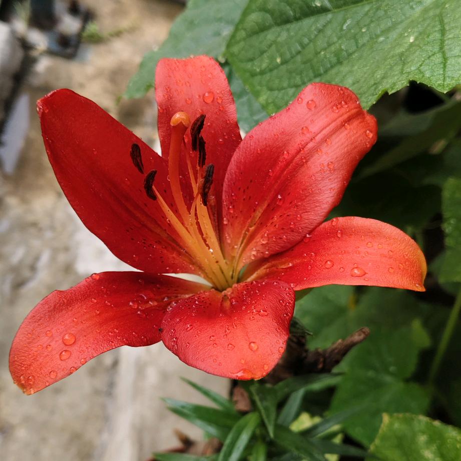 ✌️☞大静（老🤙）课代表