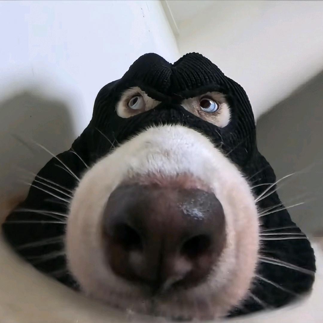 八十岁无情老奶