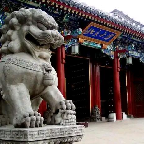 高中升学规划指导