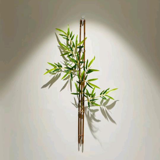 禾茂
