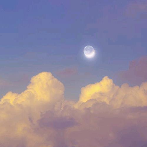 咸水河里找爱情