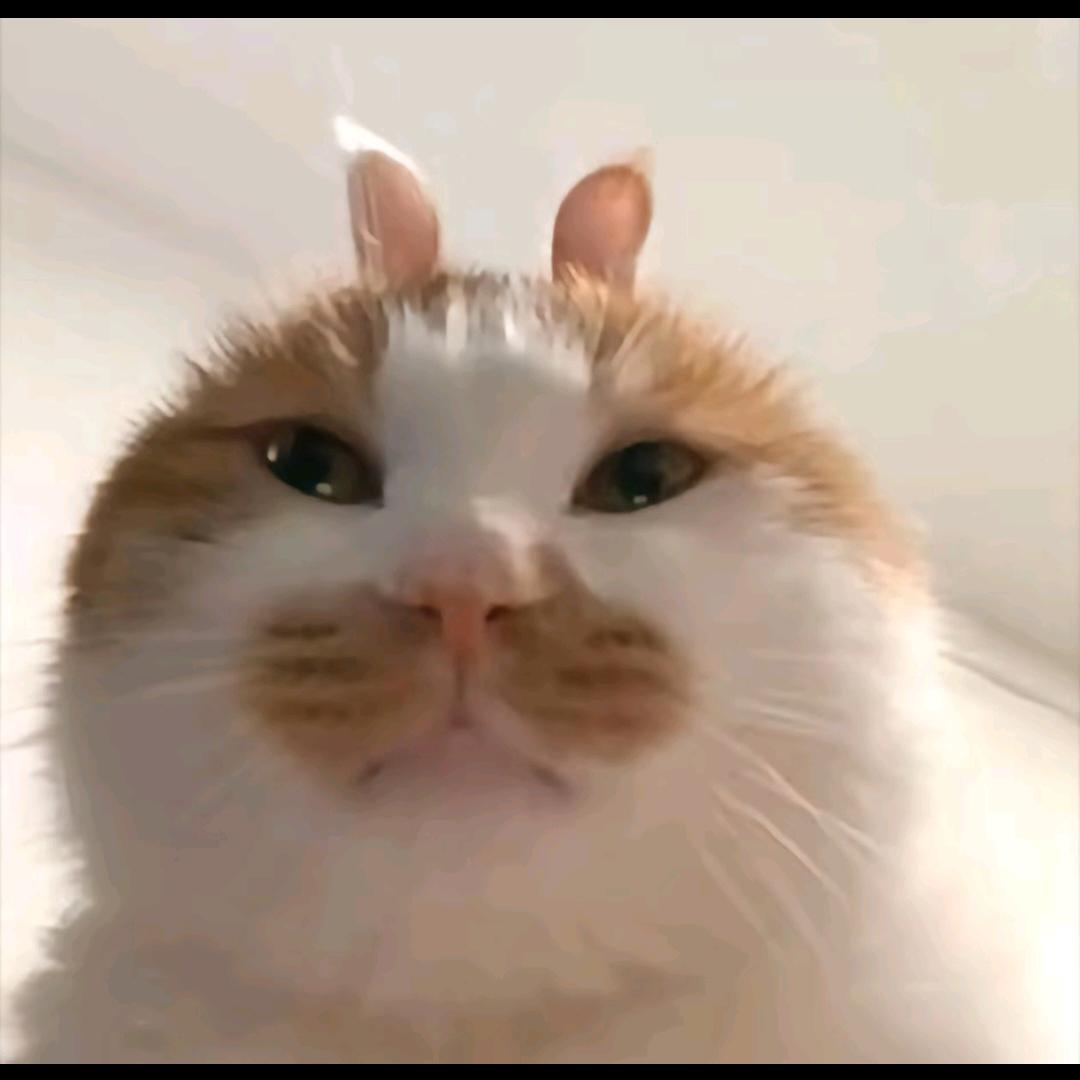 忧郁男人