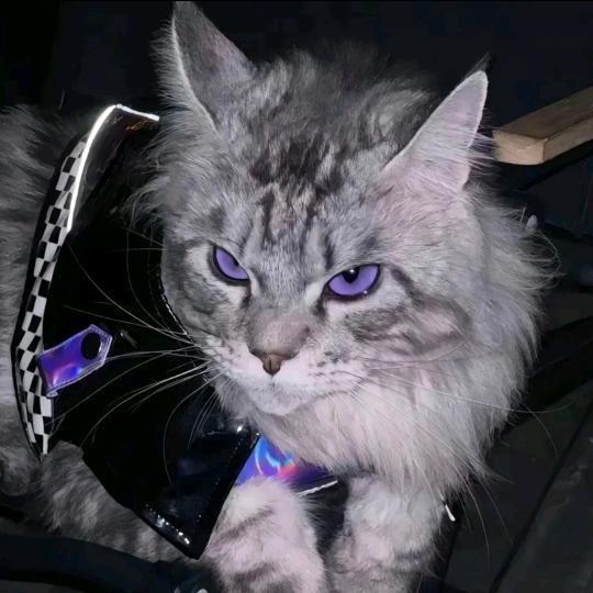 富婆与低保皆失