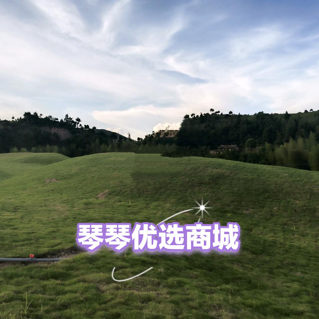琴琴优选商城