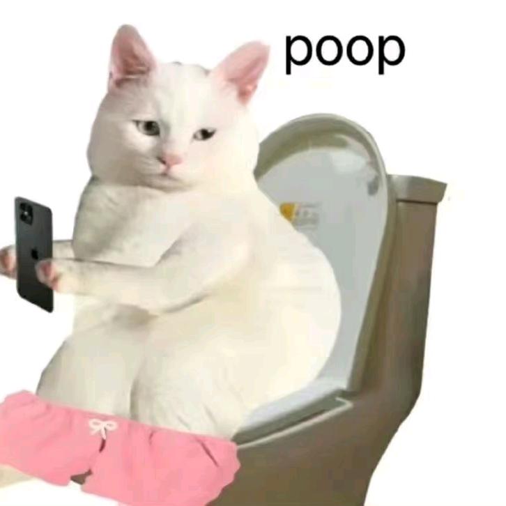 竹子