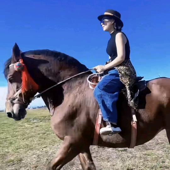 淼淼ʕ ᵔᴥᵔ ʔ