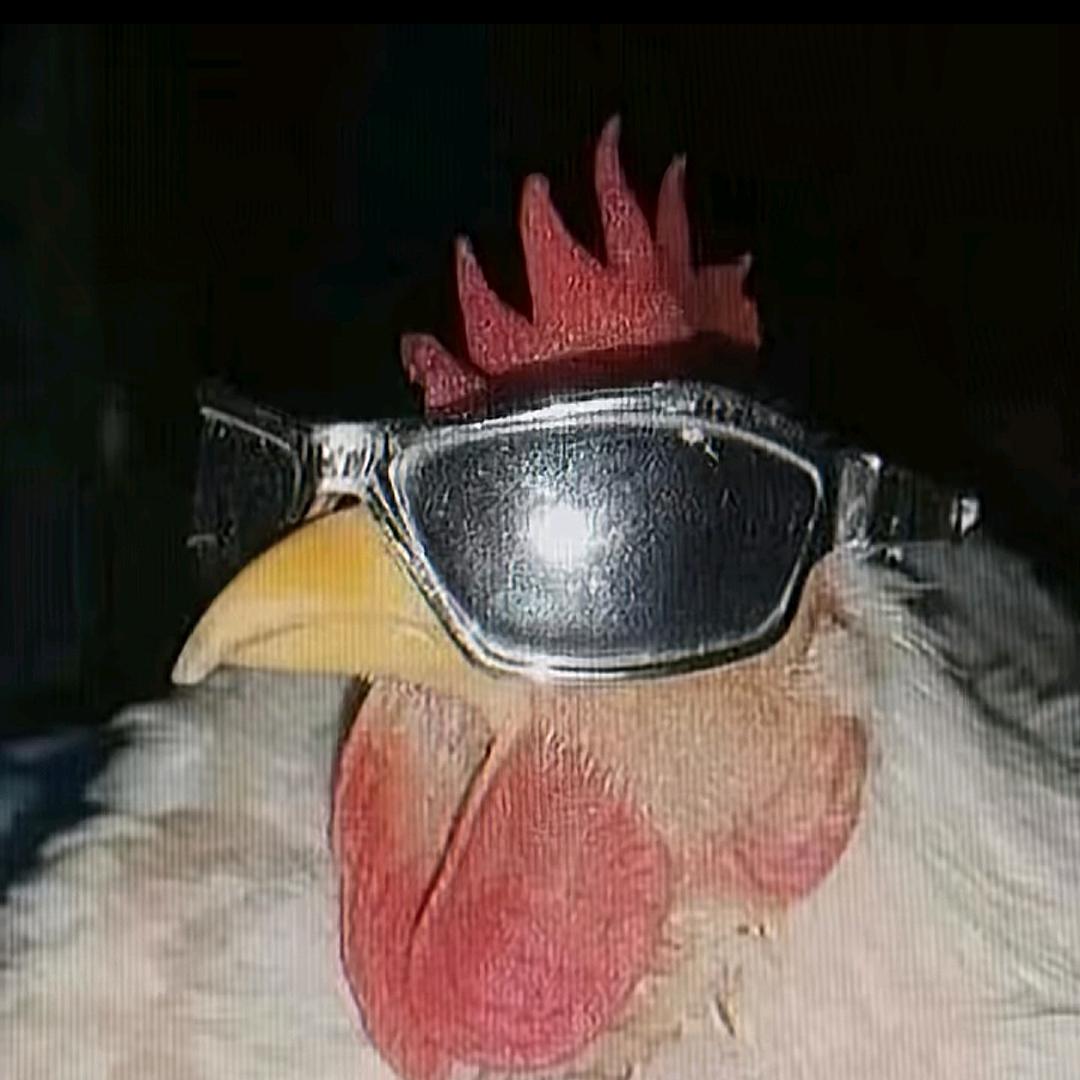 只玩阳间