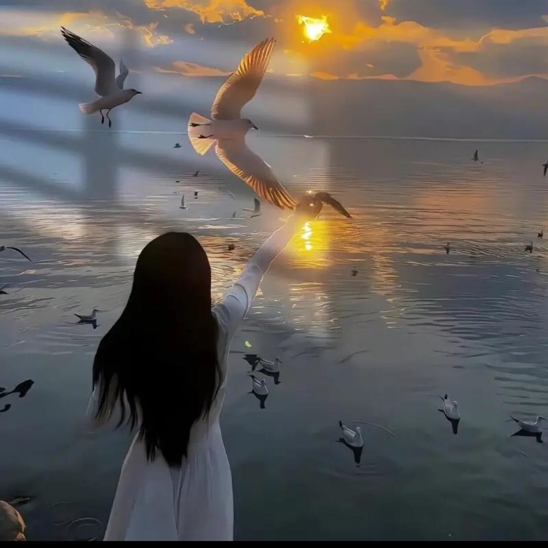 🕊٭