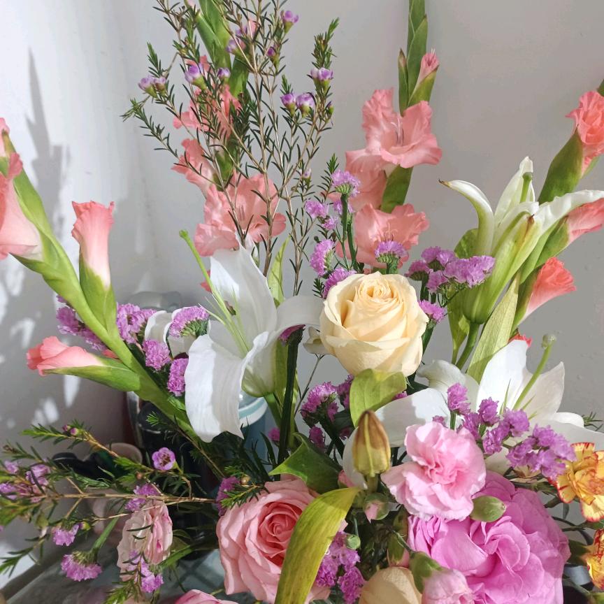 ☘️叶落🌺无声🍃