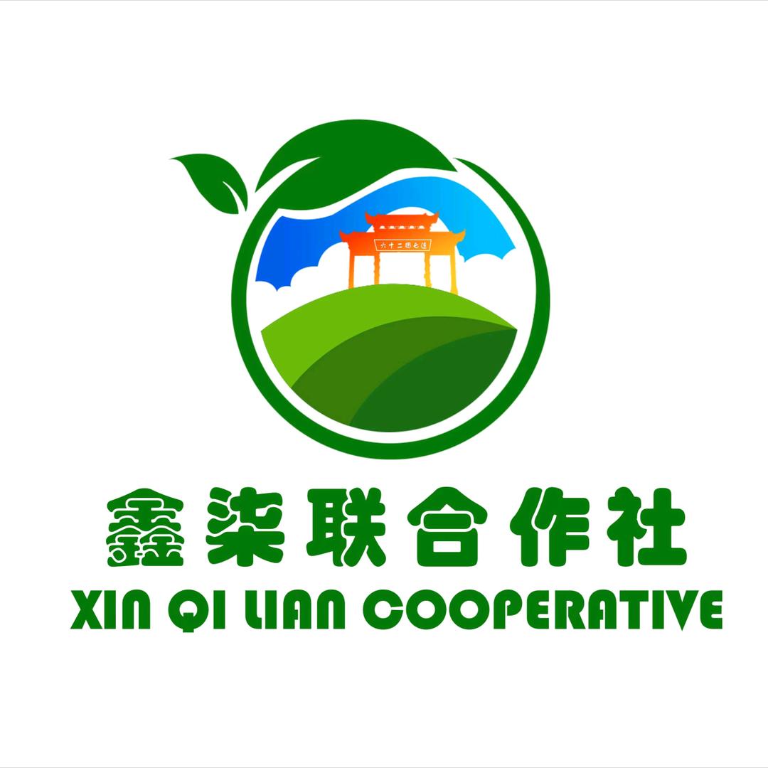 六十二团鑫柒联合作社