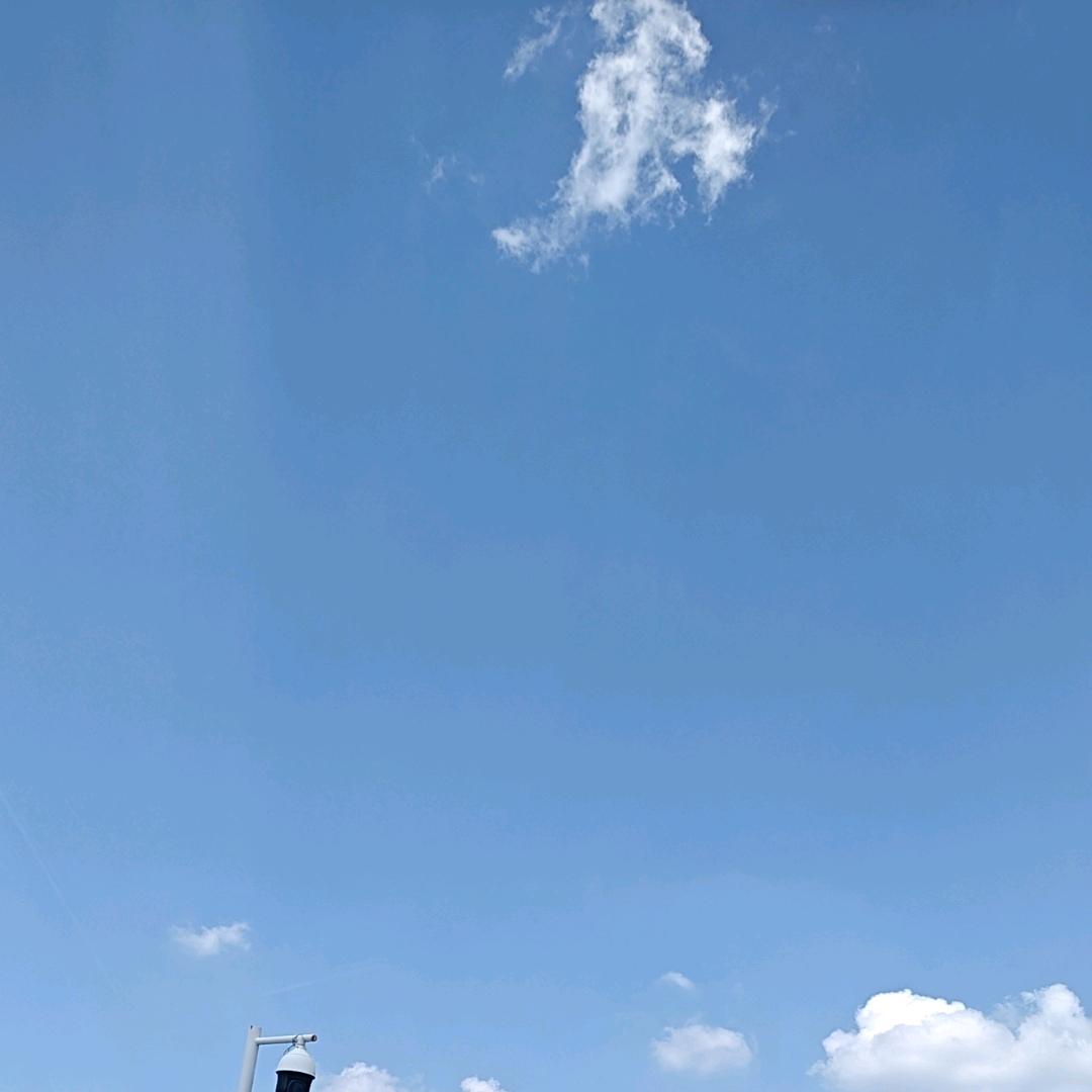 力争上游头像
