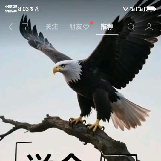 扬帆起航2025