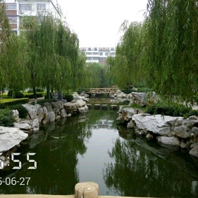 花儿不知草的香