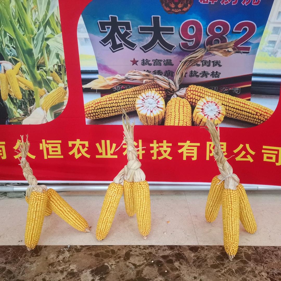 平凡可贵