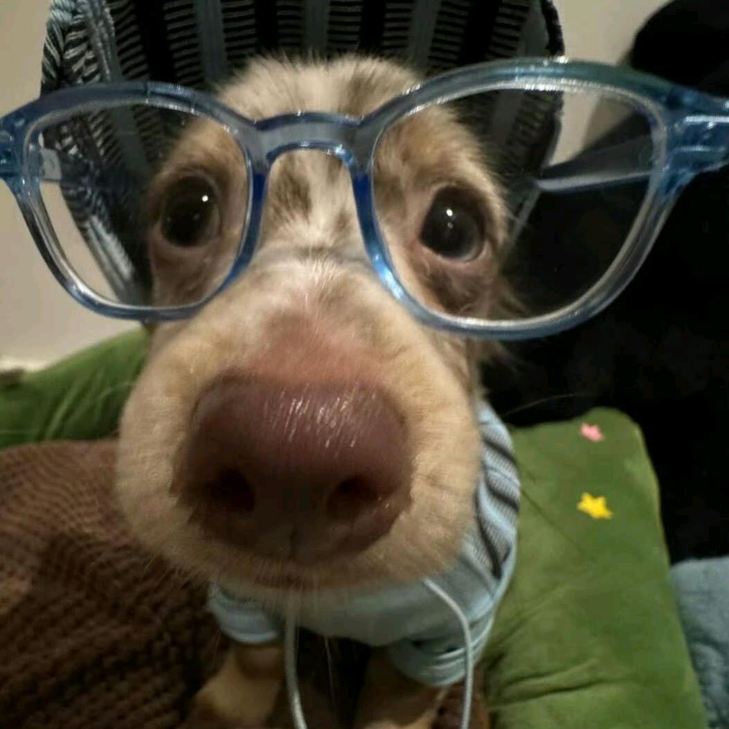 是小董不是很懂