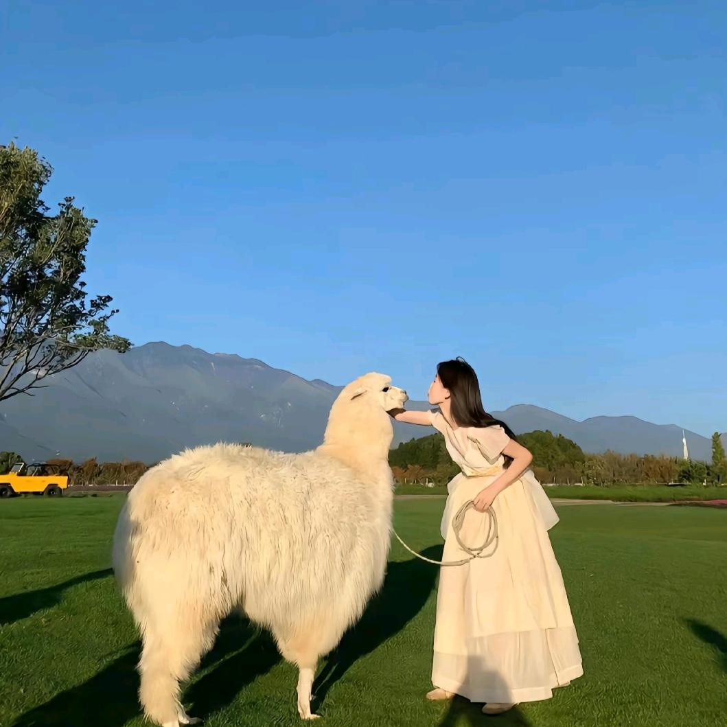 第一百个我