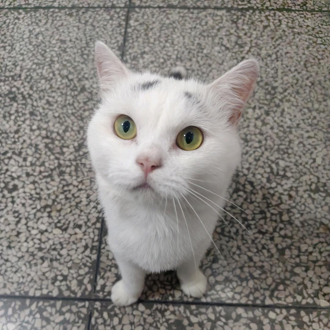 孤独本就是常态