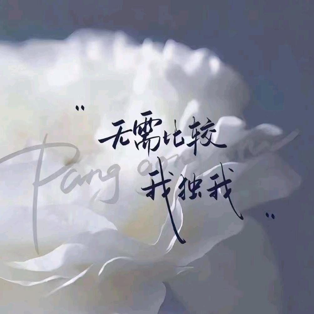 ᝰSꪹ꪿ꪶєꪁէꫛꫀꪝ瓌〇