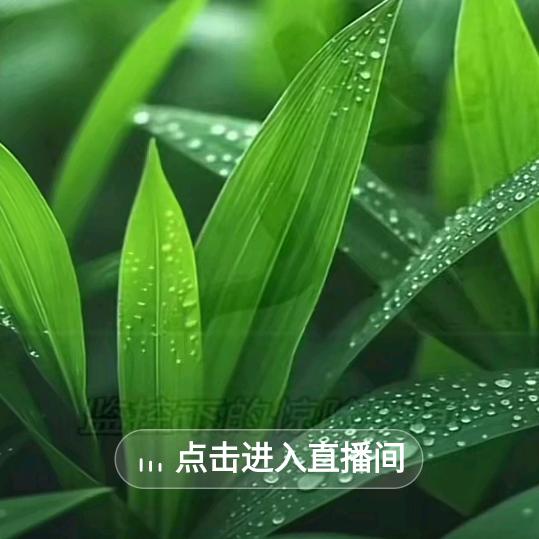 我来宠你理疗SPA