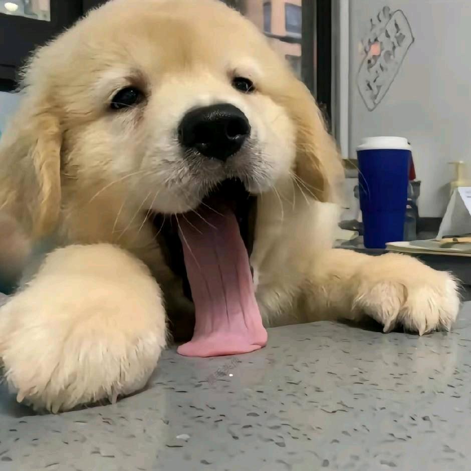 星火（失控进化）