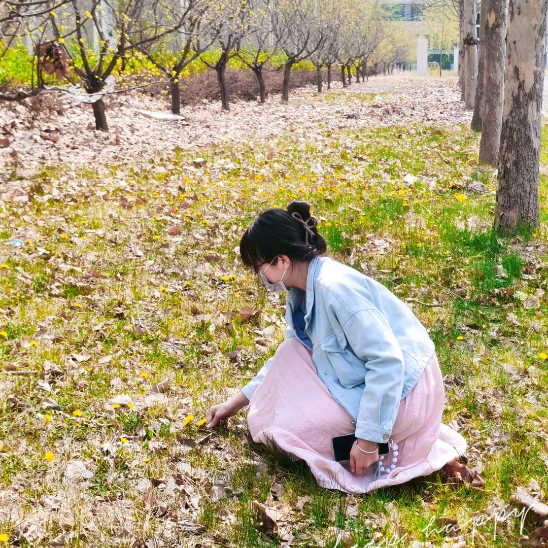 发光的小土豆