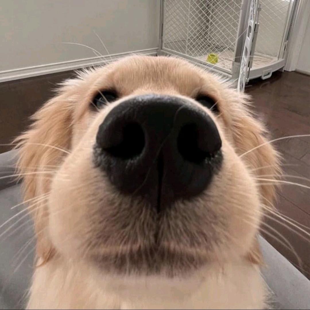禅命