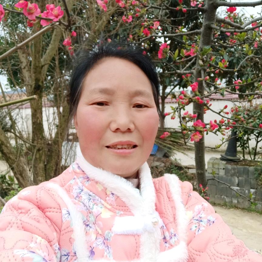 开心快乐宋二妹