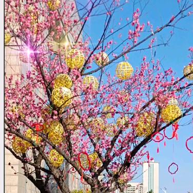 开心每一天