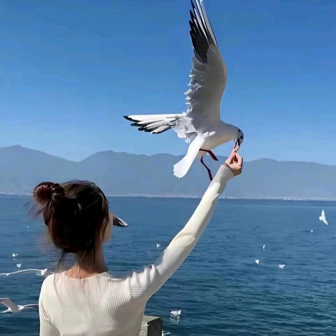 扬扬优选