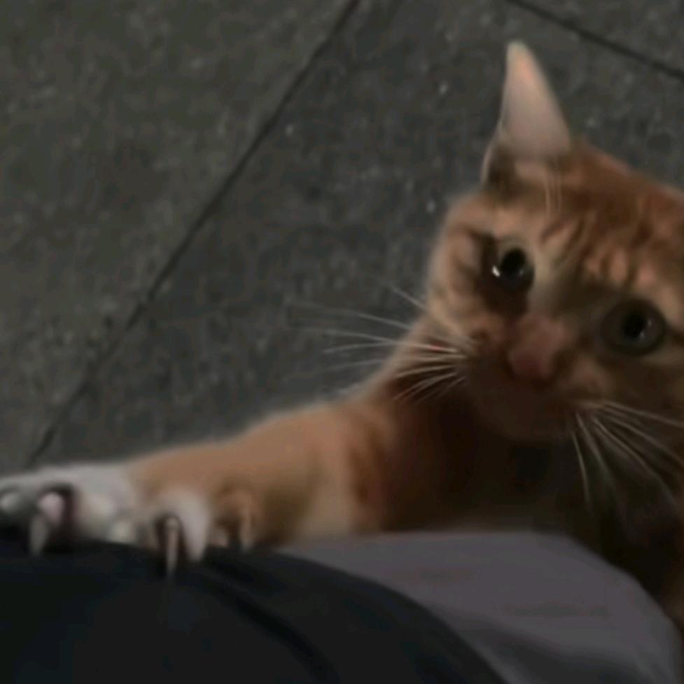 蟹老闆