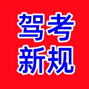 驾考陈老师