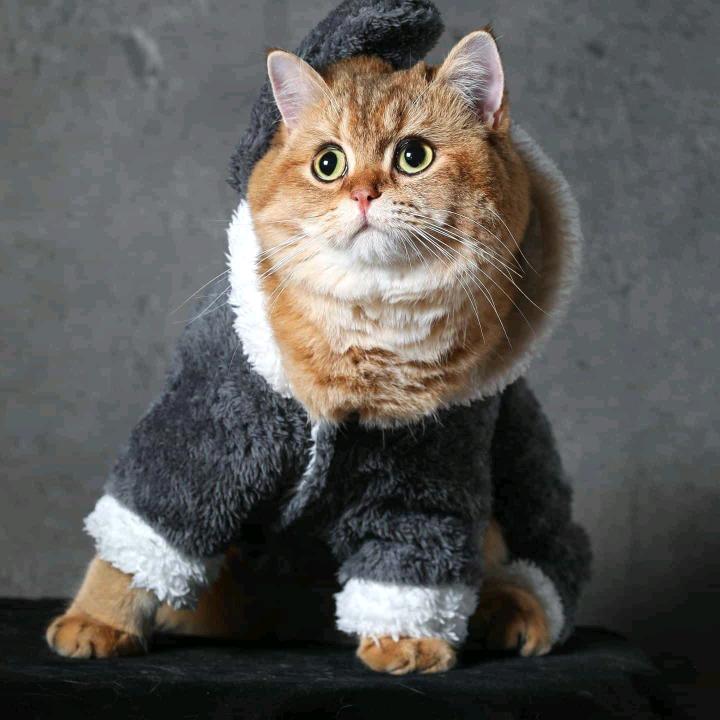 云边有个小卖部🪐️