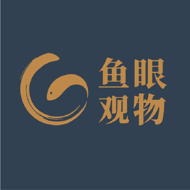 鱼眼观物