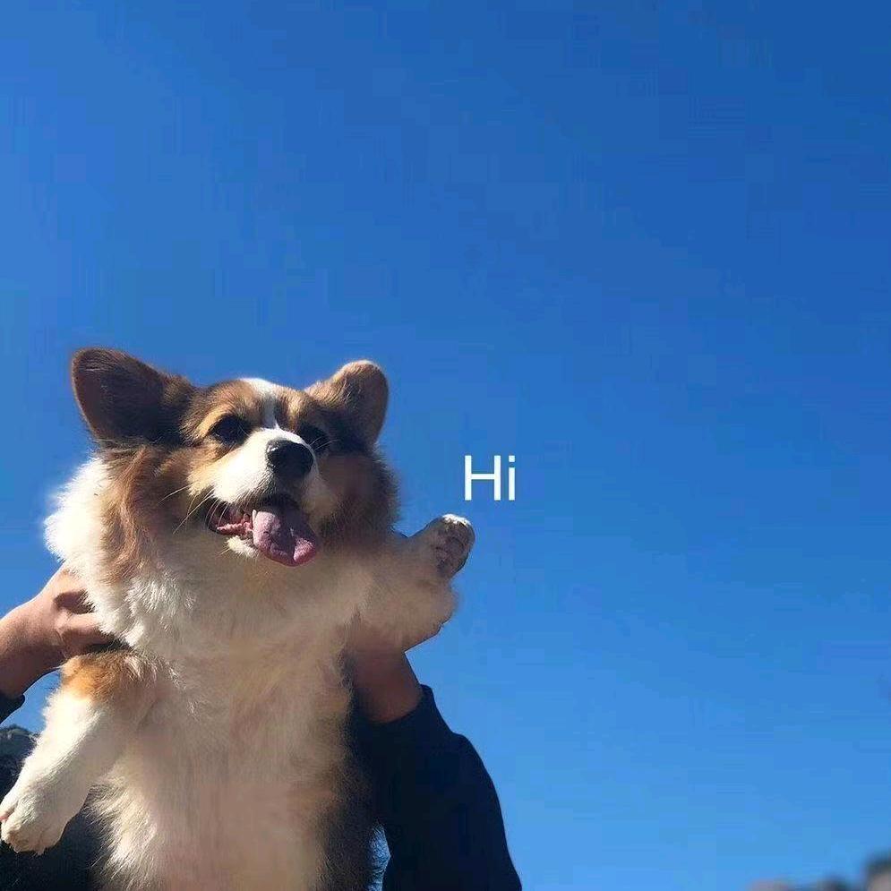 我钱有用