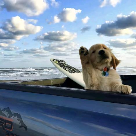 咖喱给给蹦蹦蹦