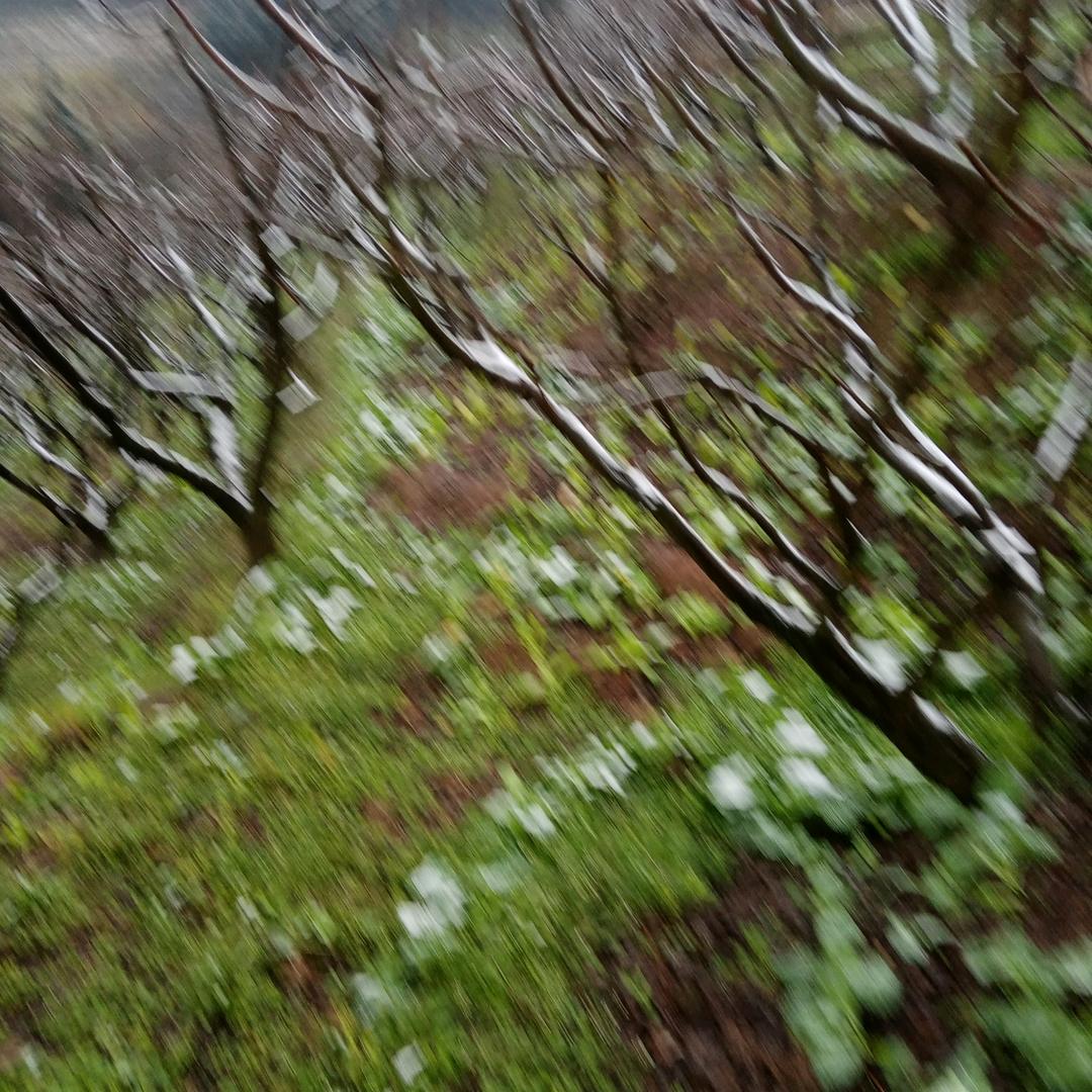 寻找友缘人（凌）