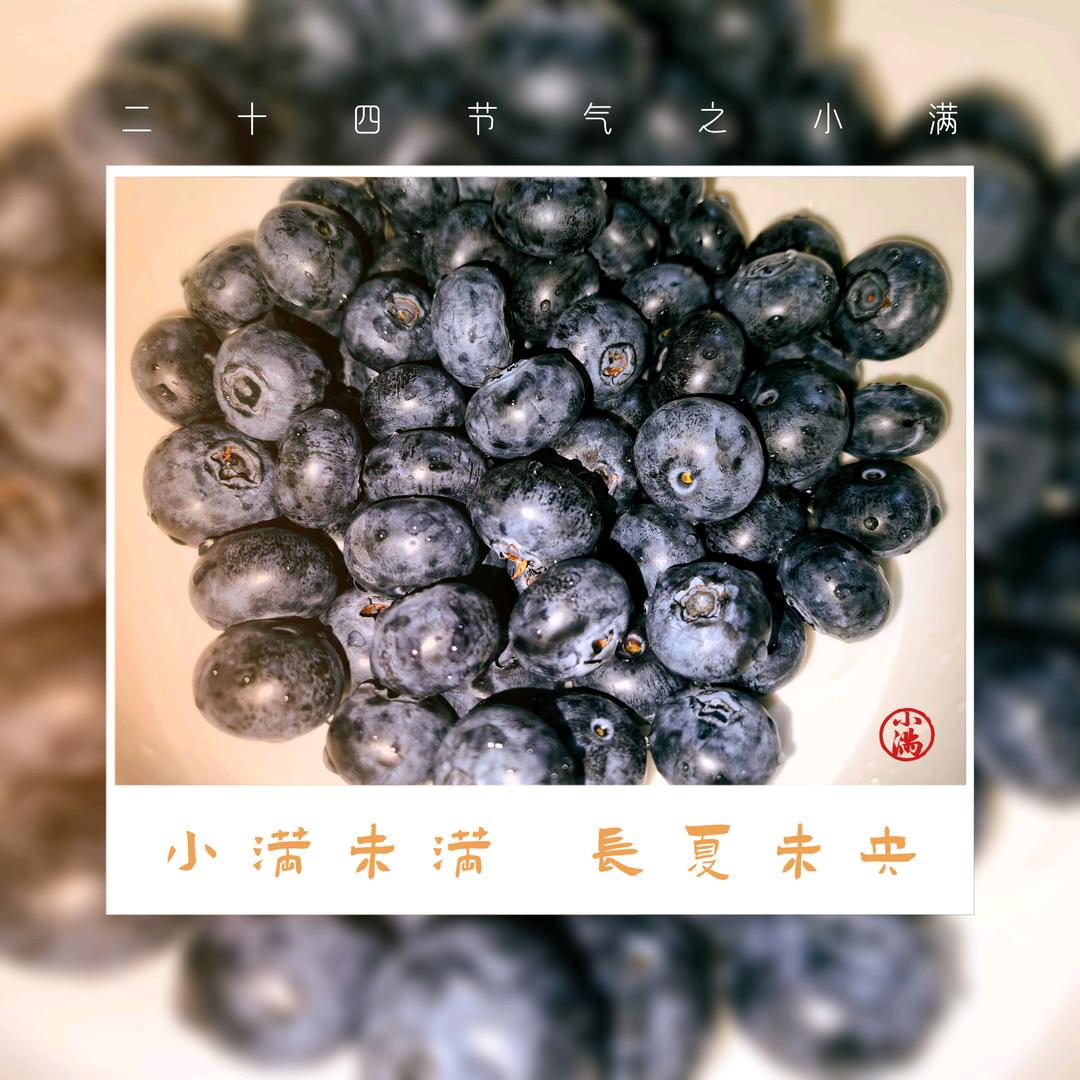 傲雪寒梅1