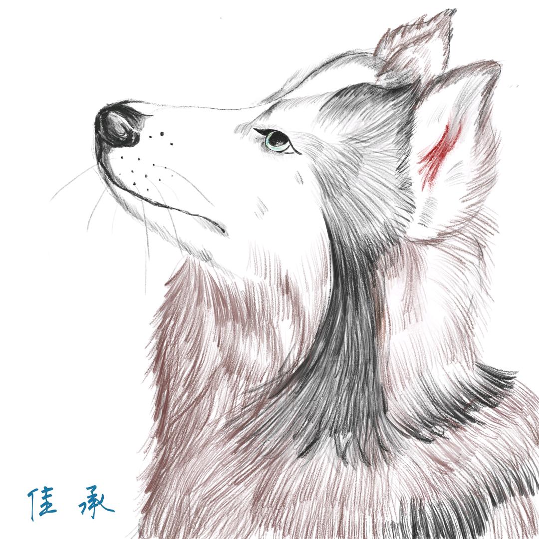 久伴