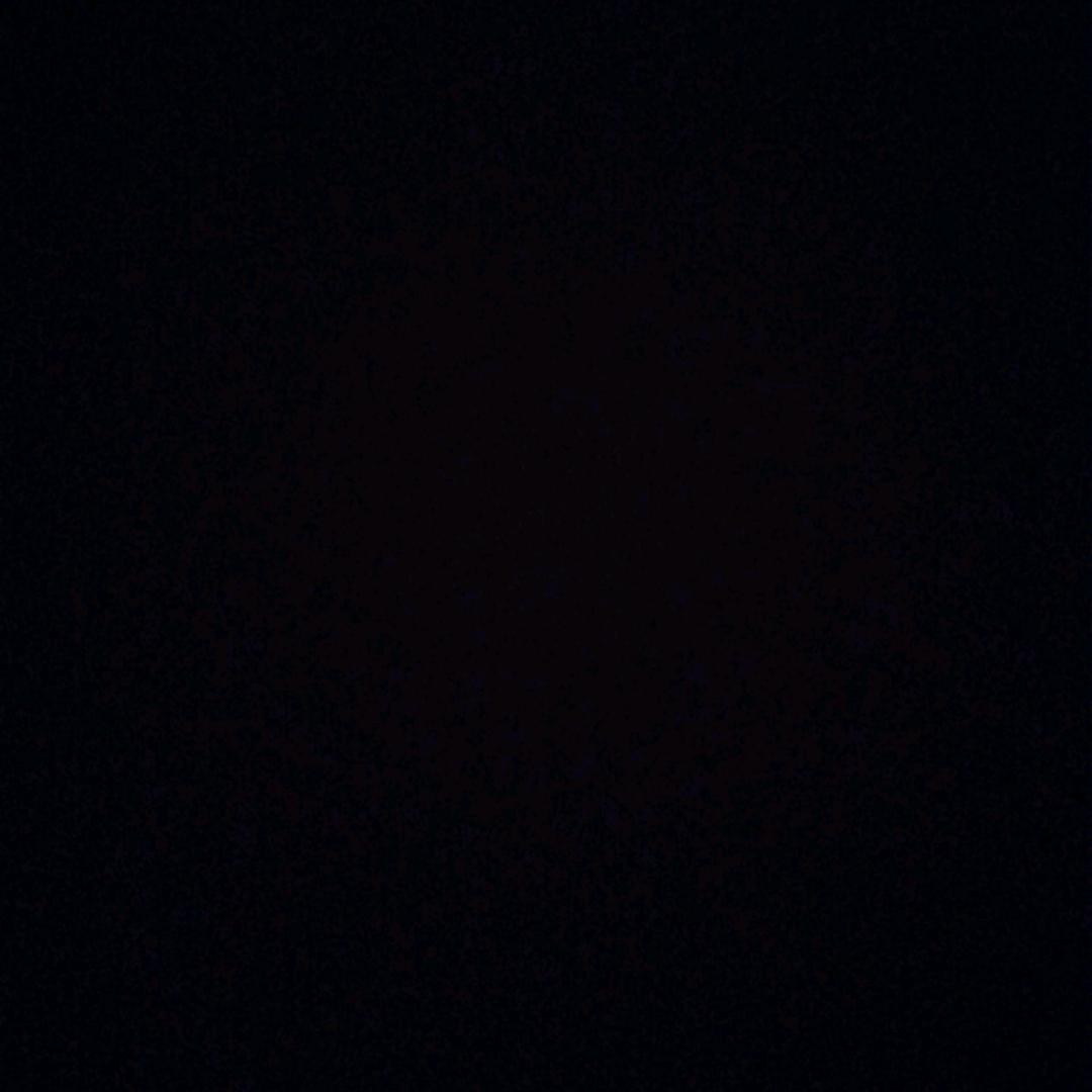 Ch的小兔子