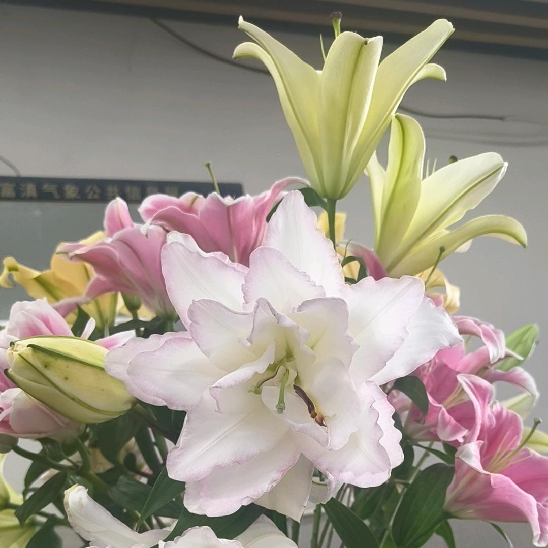 💋久伴你
