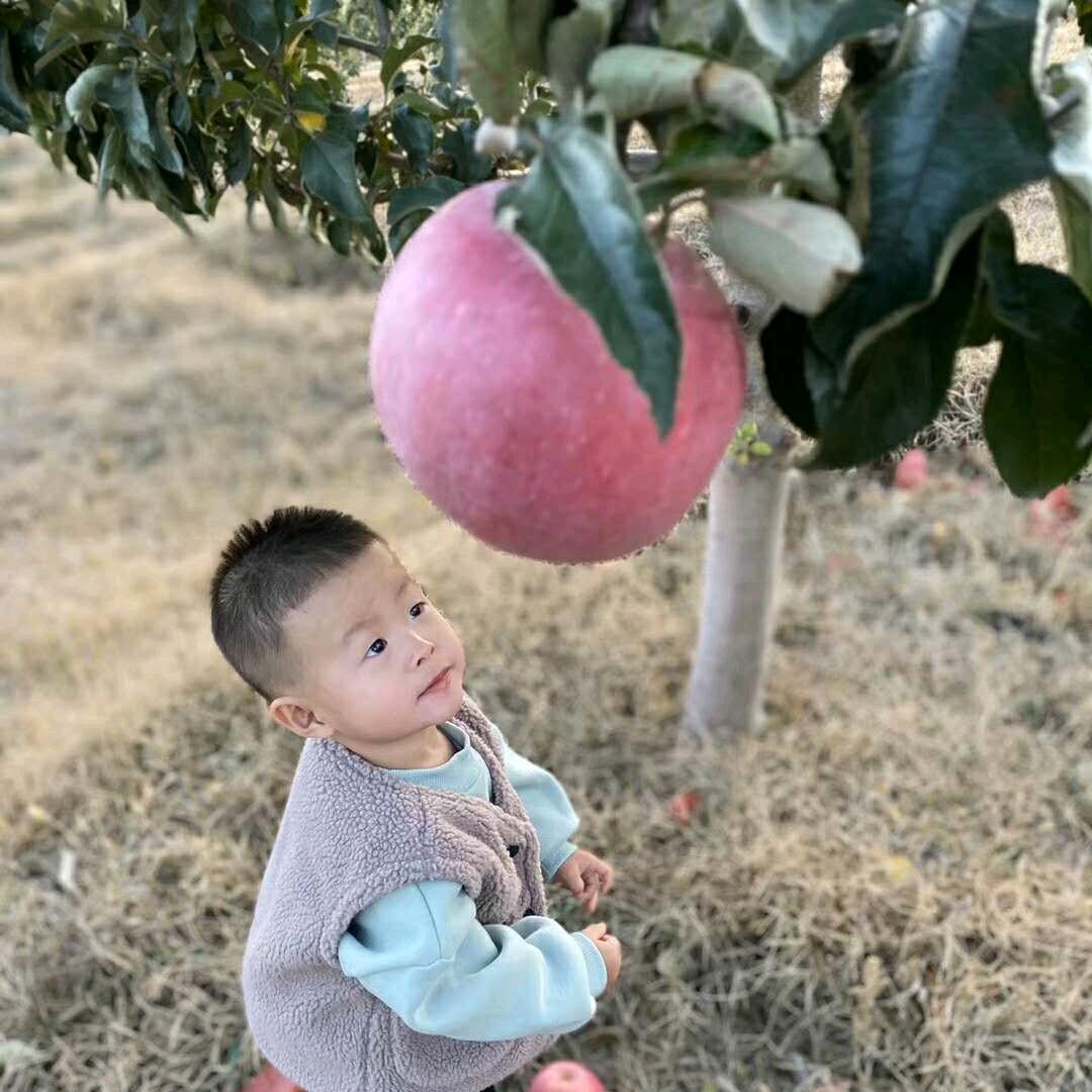 À💰᭄赵ᮩ财꯭ྀེ进宝꧒ᩚ🕊