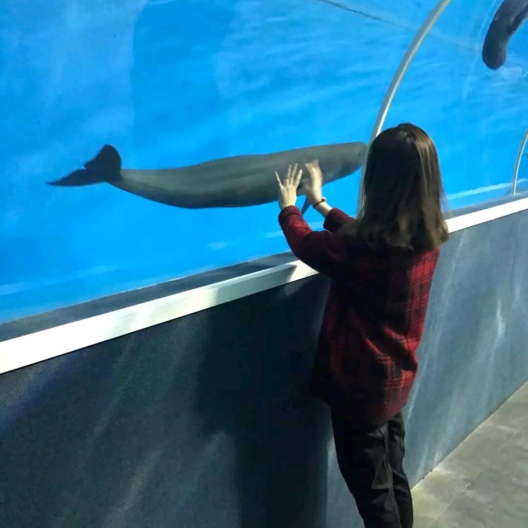 A   .🐟