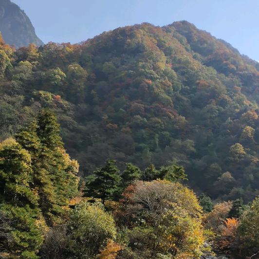 早晨从中午开始