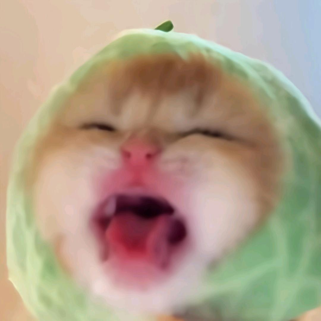 风与归途