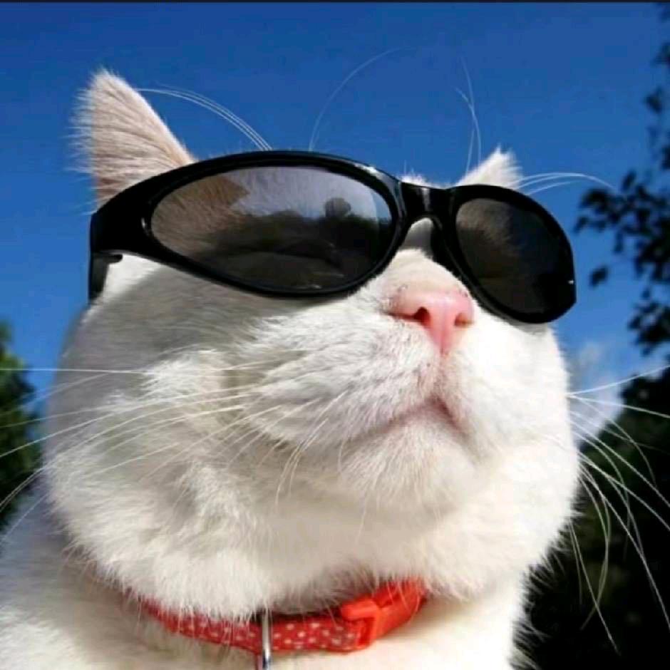 海口公寓出租(房东直租)