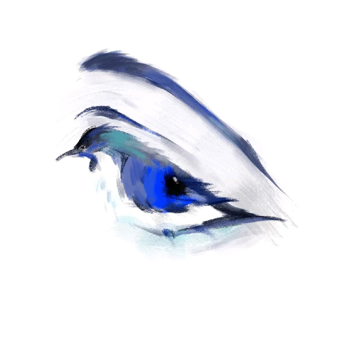 溪云☁️