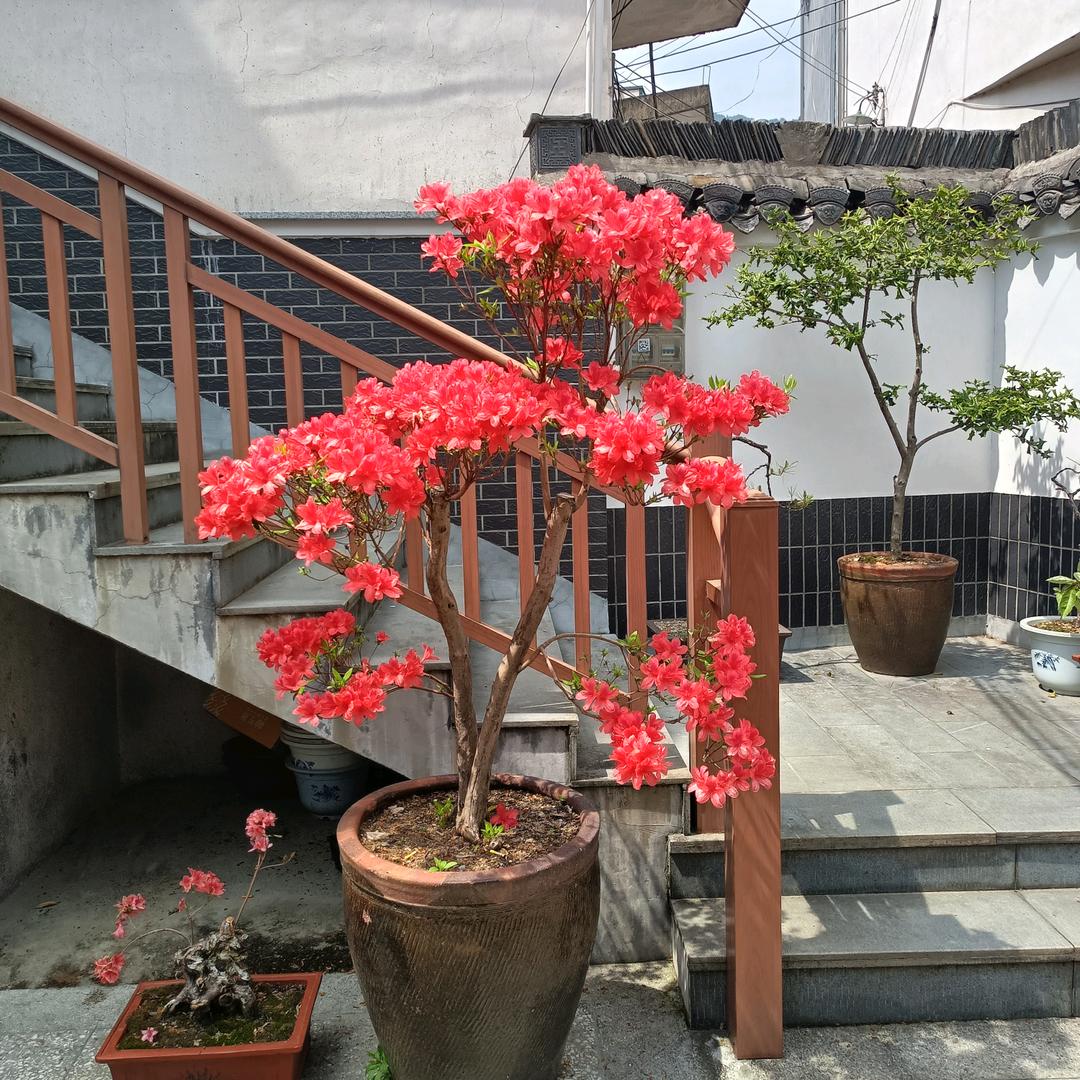 、随遇而安