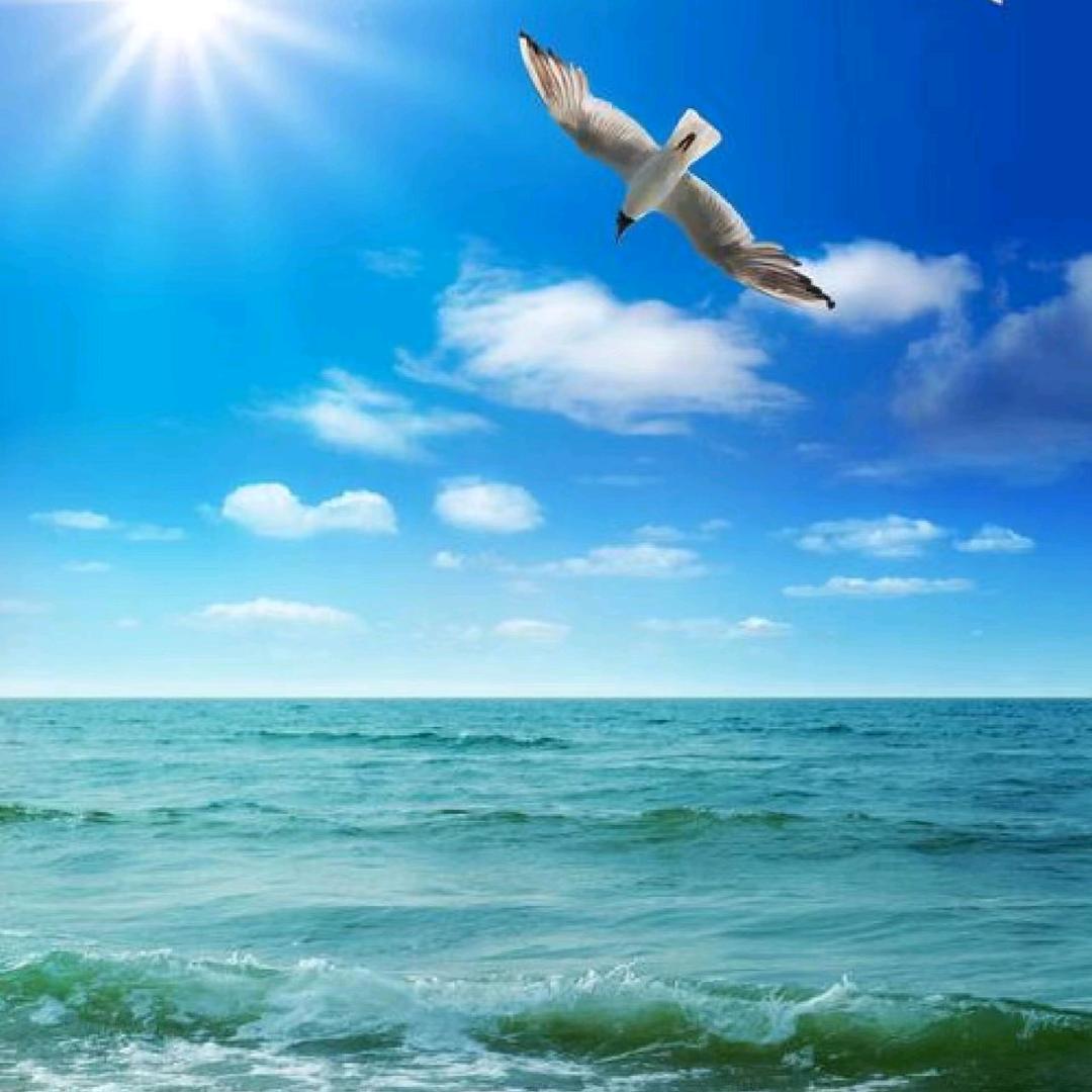 海角天涯