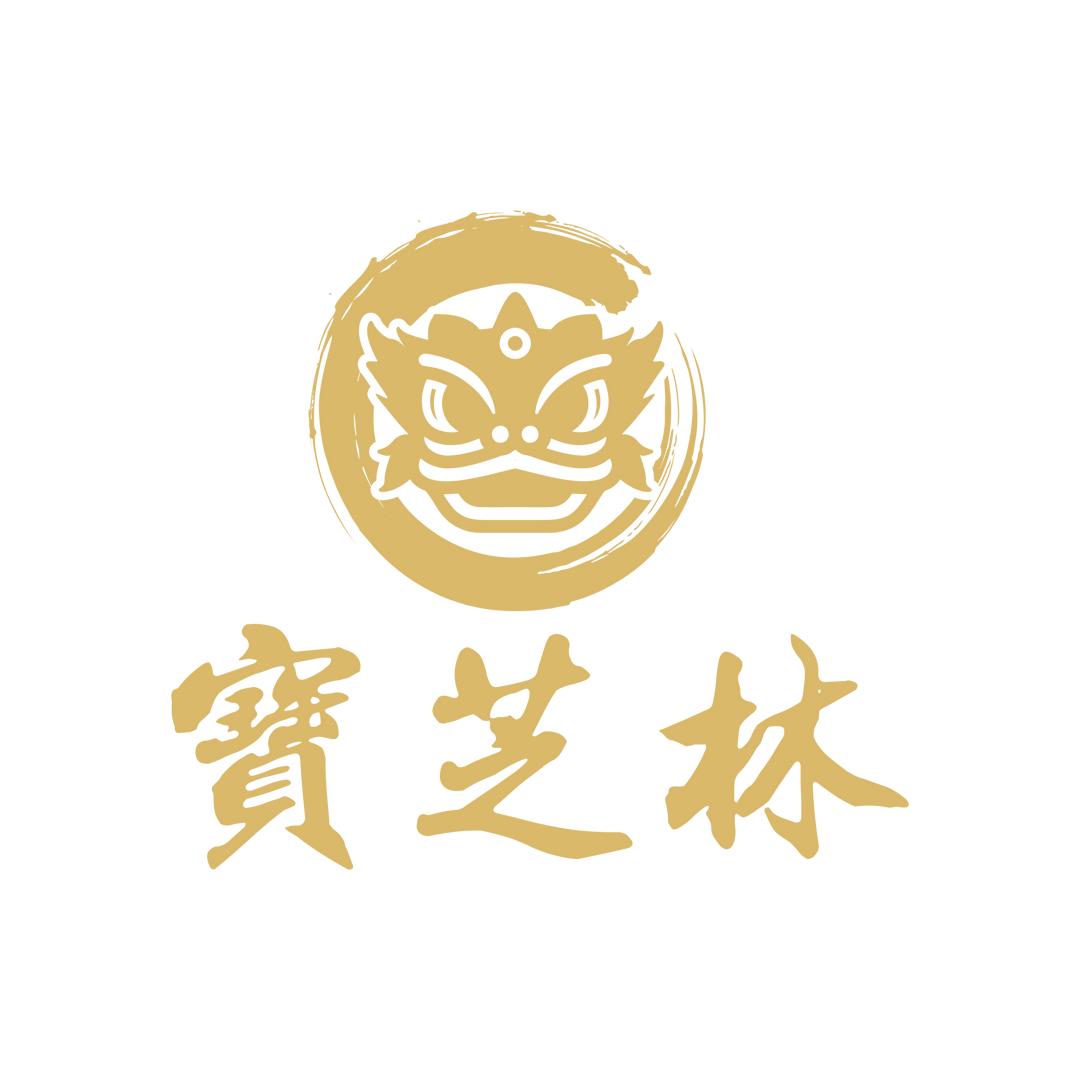 宝芝林非物质文化遗产（研究院）