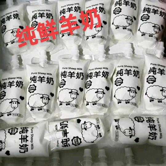 常天提供鲜羊奶